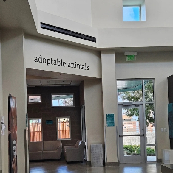 Updated Goal 05/23BIRTHDAY WISH-FOR EVERY $1 IN PROFITS .25CENTS ANIMAL - Picture 4 of 9